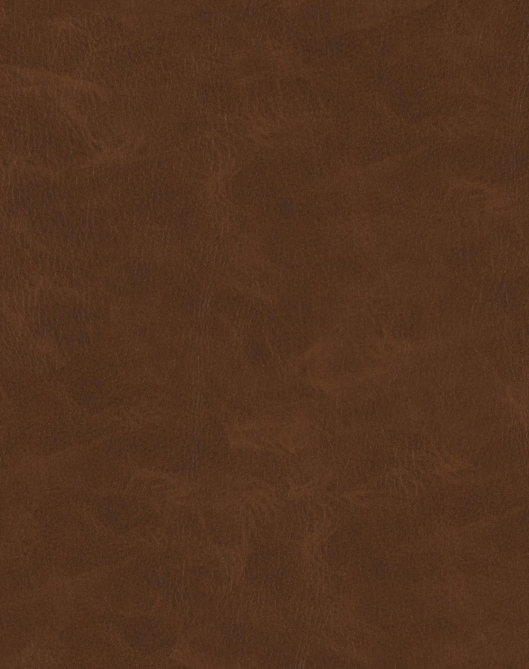 Buckskin